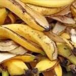 Pare de jogar fora as cascas da banana! Um velho truque da minha avó que vai surpreender você!