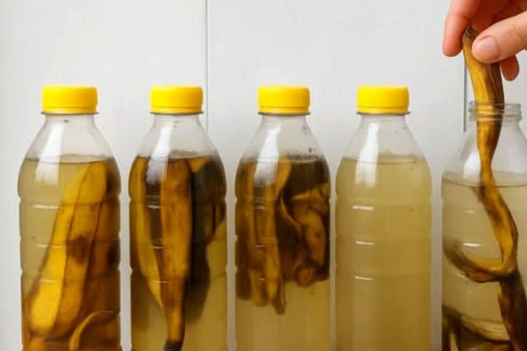 Pare de Jogar Fora as Cascas da Banana: Aprenda a Transformá-las em uma Receita Surpreendente