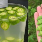 11 Razões Poderosas para Toda a Sua Família Beber Água de Quiabo