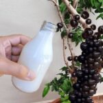 Adubo Caseiro: Como Fazer a Jabuticabeira Produzir Frutos o Ano Inteiro!