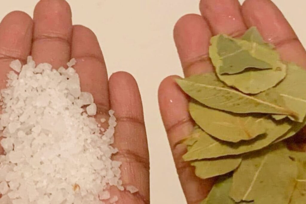 Louro e Sal: Uma Mistura Que Vale Ouro na Sua Cozinha