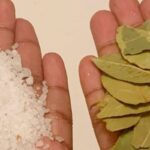 Louro e Sal: Uma Mistura Que Vale Ouro na Sua Cozinha
